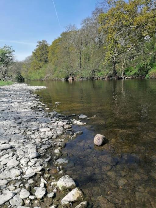 Cottage By The River In Cenarth With Fishing And Wifi Exterior photo